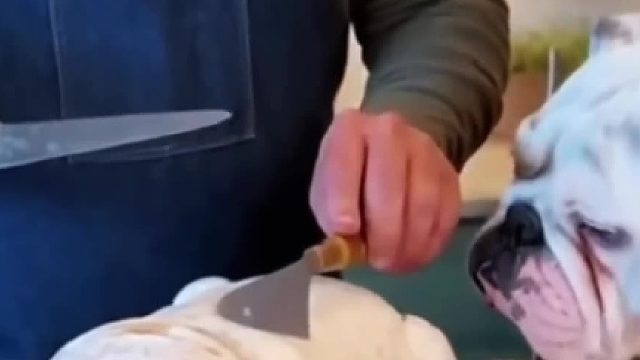 崽崽同款蛋糕，切蛋糕看家里崽崽什么反应