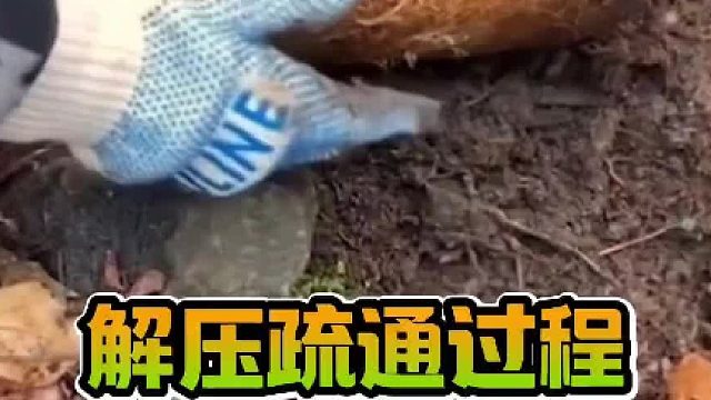 使用这种方法清理管道太了