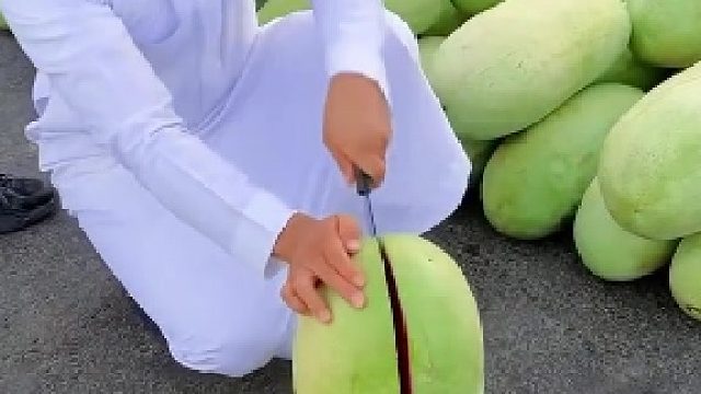 沙特那么干旱，为什么能种出硕大的西瓜？