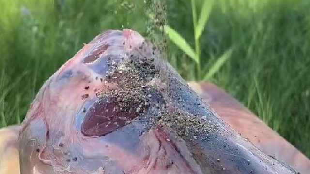 荒野美食爱好者必看系列。