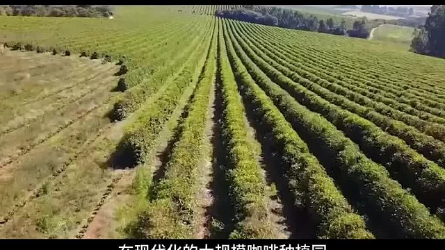 雀巢咖啡是如何生产的？工厂揭秘全流程带你参观雀巢咖啡工厂，揭秘雀巢速溶咖啡是如何制造的。