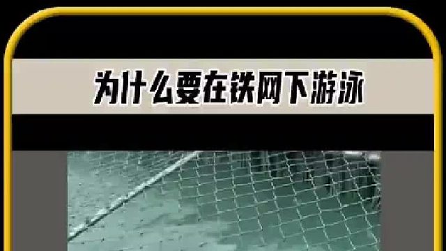 这些人竟被困在铁网下的水里，他们拼命的往前游