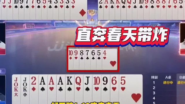 地主这牌真漂亮