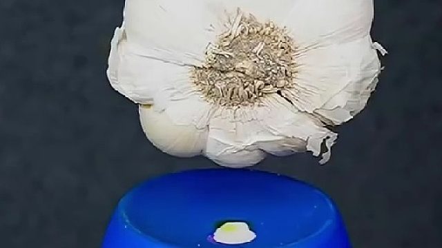 这绝对是你没看过的电钻钻万物“大乱斗”！