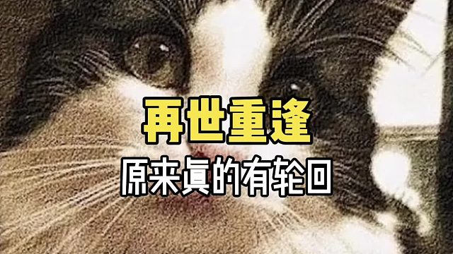 你相信世界上真的有轮回吗？