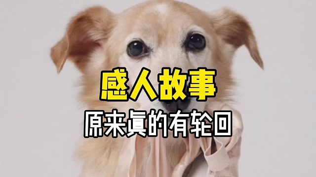 原来世界上真的有轮回！