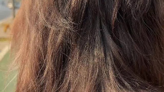 我是真狗 我骄傲