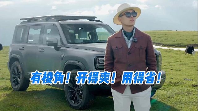 哈弗猛龙PHEV 15-20万绕不开的一台SUV