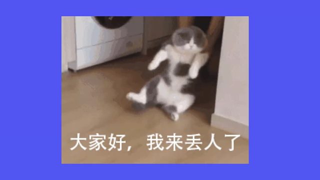 学生党、博主必入！平价领夹麦天花板合集