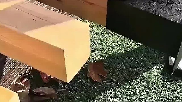 这个简单的工具彻底改变了美国木工行业。