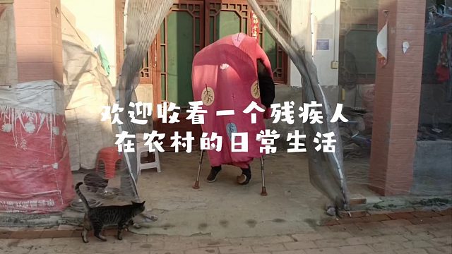 不惧残缺，向阳而生，普通日子也能过得热烈。