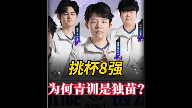 青训选手究竟什么实力？
