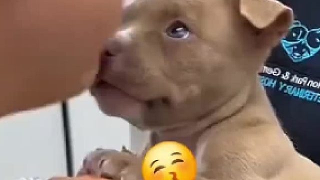 看完能多爱世界一点