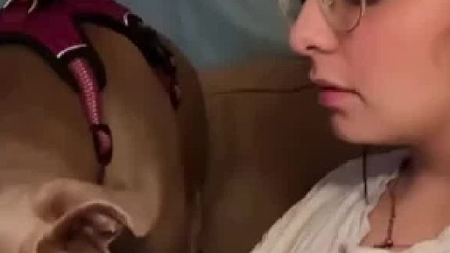 当小狗听到你发出狗叫声