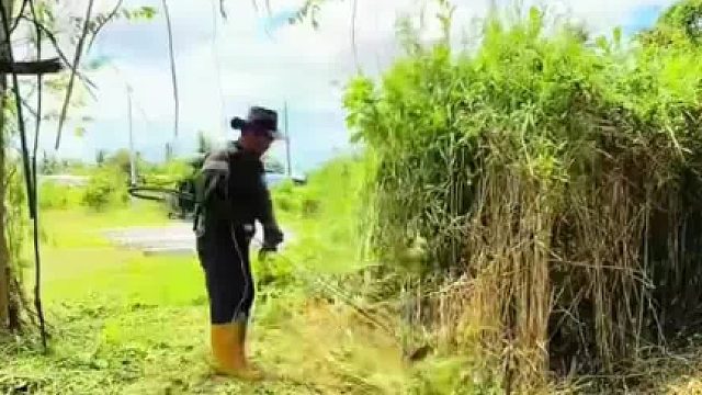 十年果园往往采用最解压的打理方式！