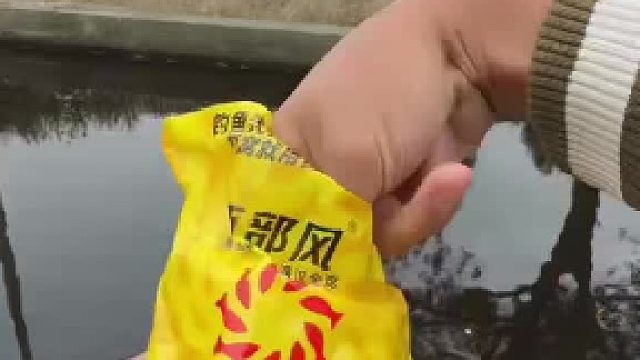 几十年没干过的“澡堂子”里能钓到什么鱼呢！