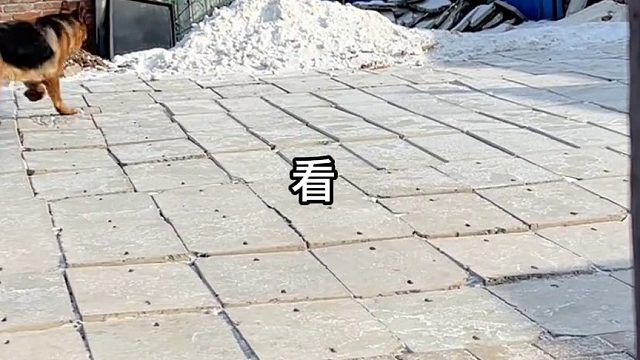 我也是好心，我可啥都没干。