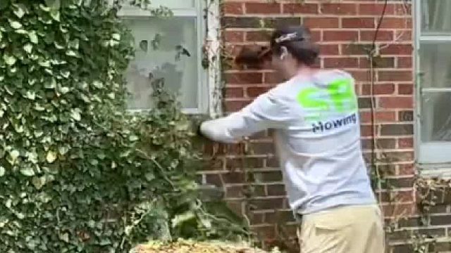 美国小哥清理自家庭院，一大早就开始忙碌！