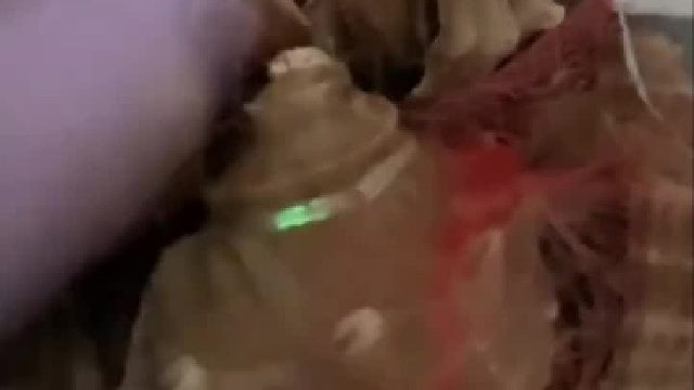 虾怪：人家在睡觉，你非得拽人家起来蹦迪