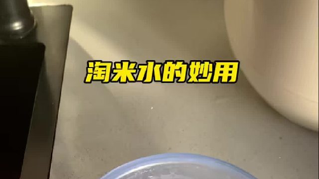 淘米水除了浇花它还有大作用，还能洗抹布，健康又安全