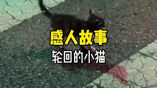 原来世界上真的有轮回…
