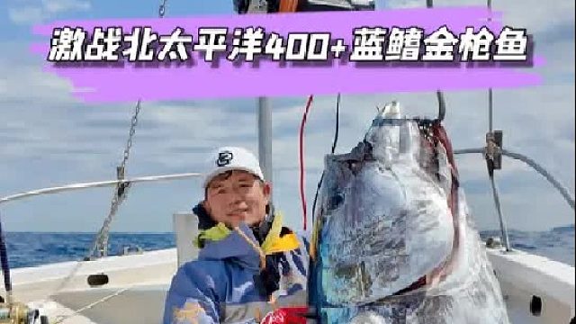 激战北太平洋蓝鳍金枪鱼全纪实。
