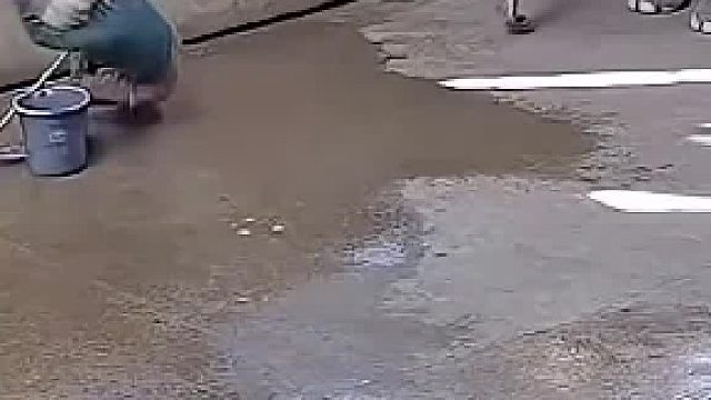 它们都是你最信任的且不会背叛你