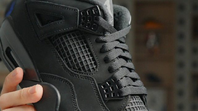 2025 AJ4黑猫：熟悉的歪头 熟悉的怪叫