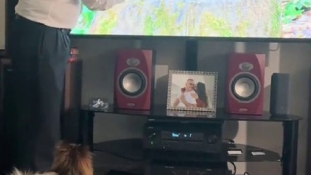 狗子真以为电视机里小鸟被抓出来了