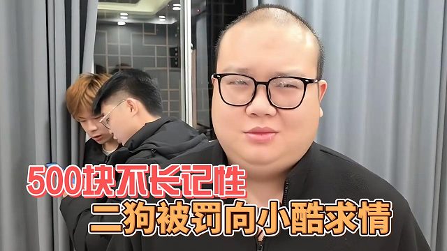 二狗被罚向小酷求情，500块不长记性