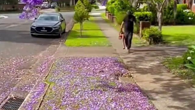 今日份解压时刻！