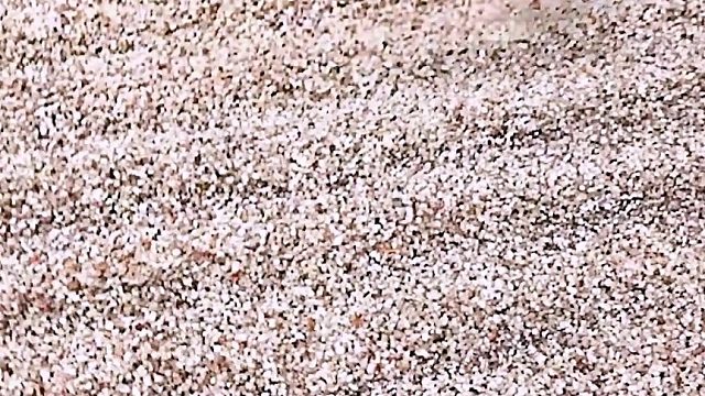 这才是幻术大师！zachking 神级魔术