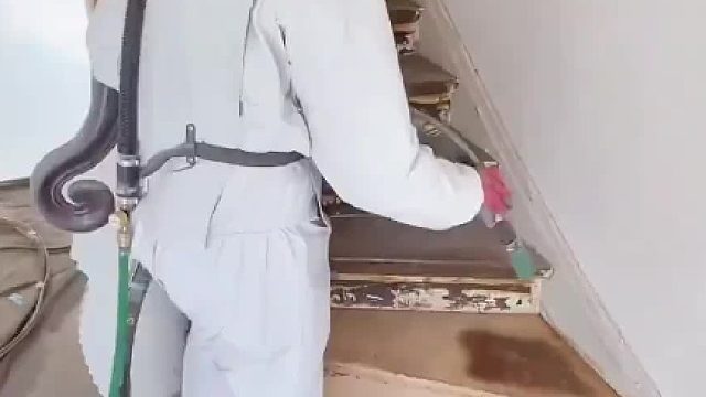 百年老宅翻新除漆，解压又高薪！