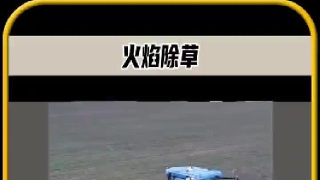 男人胆子真的太大了，拿起喷火枪对着地上一顿输出