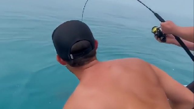 看不下去了好残忍，鱼儿很无辜很可怜，那些男人怎么能如此这般，罪过呀....