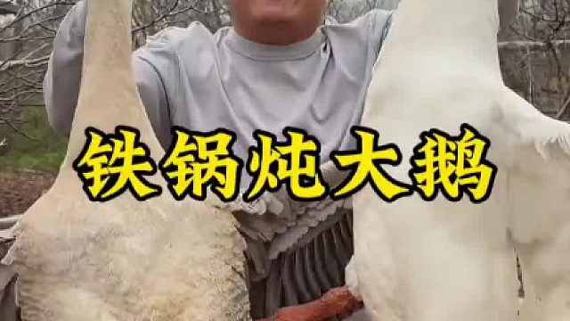 100炖狮头鹅