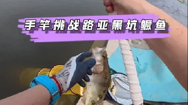 用台钓去路亚黑坑盘老板