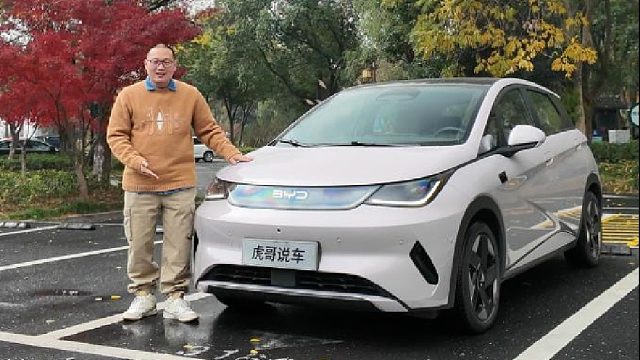 这车OTA跟下饺子一样！