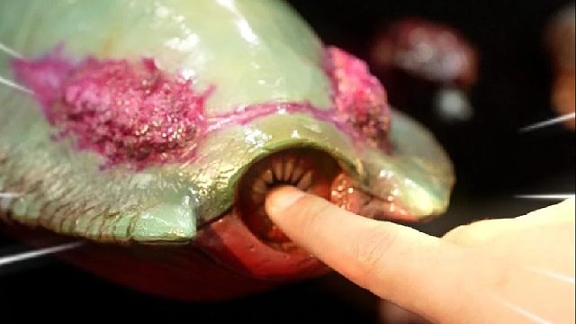 全球最大模型展！这惊喜也太多了