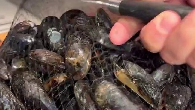 比利时青口薯条