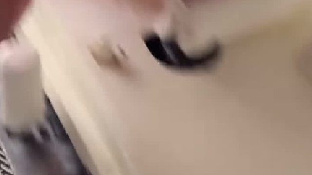 织女福音｜极度舒适的解压编织视频