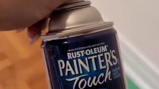 外国小姐姐沉浸式清洁房间