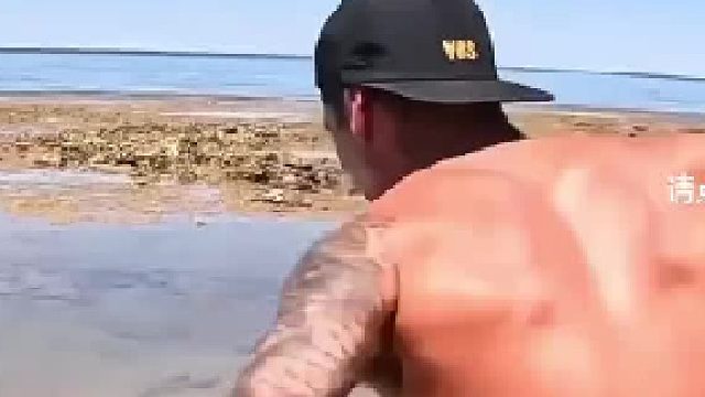 美丽却致命——“这是海洋中最毒的生物之一。我抓住它，看看能不能给你们看看。”