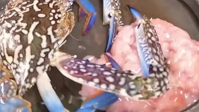 日本卡车司机的午餐