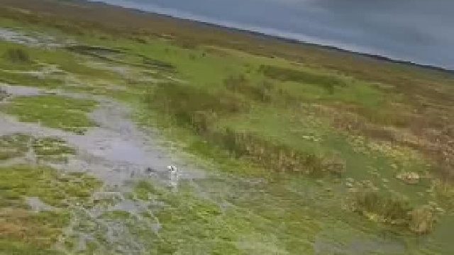 深入亚马逊雨林～一起感受来自大自然的压迫感