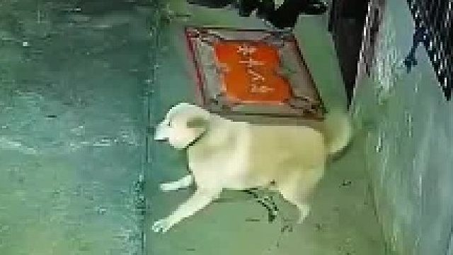 吓的都尿血了？