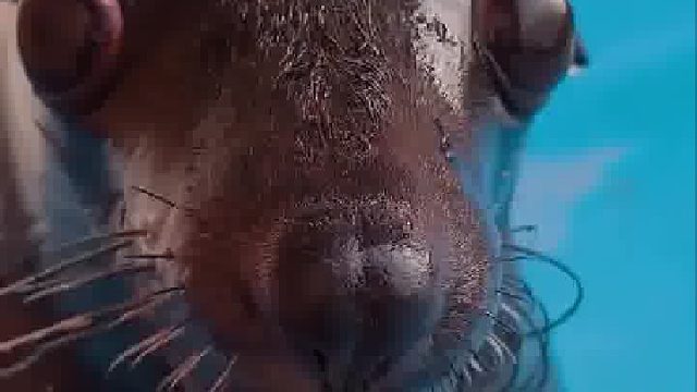 意不意外，惊不惊喜