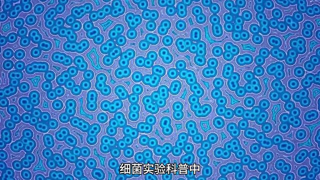 配音让微观科学活起来梨花教育退费