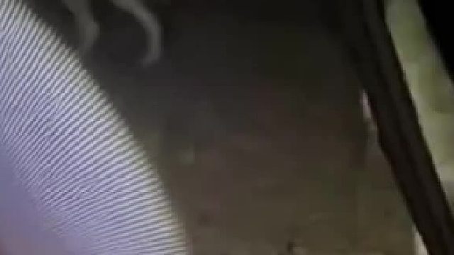 野外遇到这些动物非常危险，请远离