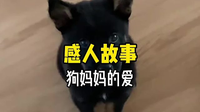 “乖孩子，妈妈不能陪着你长大了，以后你要乖乖听话…”